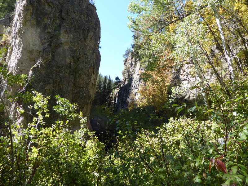 South fork